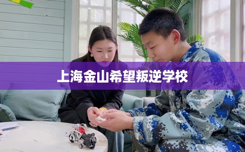 上海金山希望叛逆学校