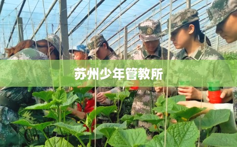 苏州少年管教所