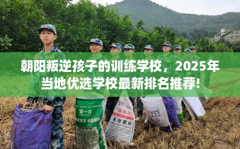 朝阳叛逆孩子的训练学校，2025年当地优选学校最新排名推荐!