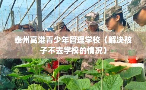 泰州高港青少年管理学校（解决孩子不去学校的情况）