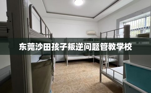 东莞沙田孩子叛逆问题管教学校