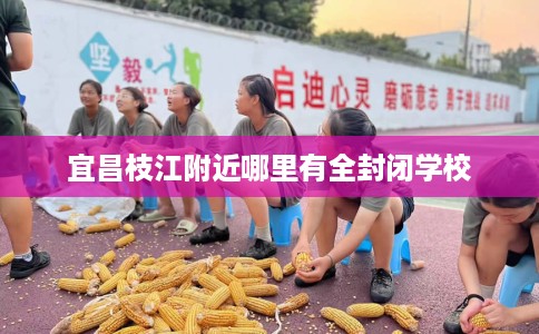 宜昌枝江附近哪里有全封闭学校