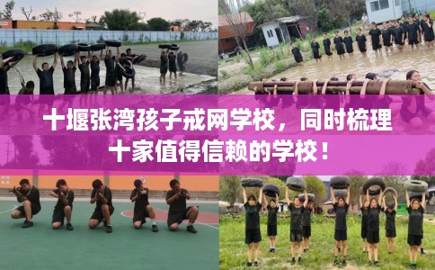 十堰张湾孩子戒网学校，同时梳理十家值得信赖的学校！