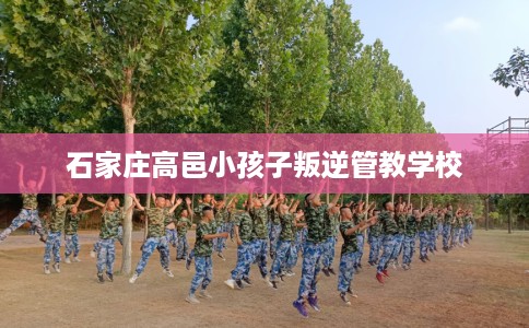 石家庄高邑小孩子叛逆管教学校