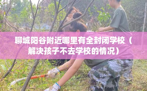 聊城阳谷附近哪里有全封闭学校（解决孩子不去学校的情况）