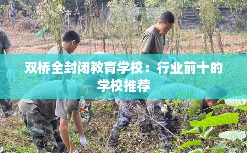 双桥全封闭教育学校：行业前十的学校推荐