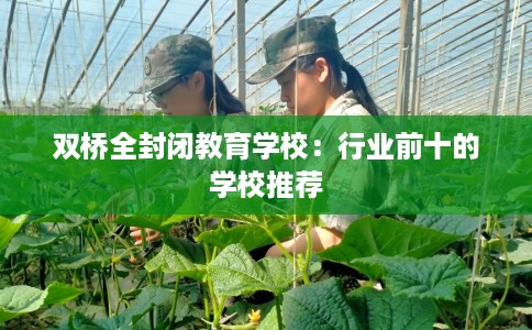 双桥全封闭教育学校：行业前十的学校推荐