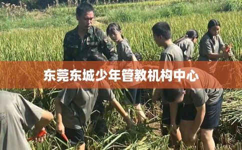 东莞东城少年管教机构中心