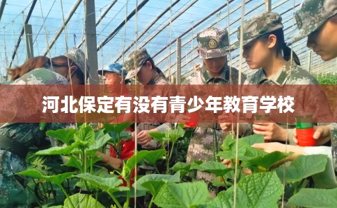 河北保定有没有青少年教育学校