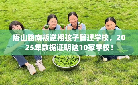 唐山路南叛逆期孩子管理学校，2025年数据证明这10家学校！