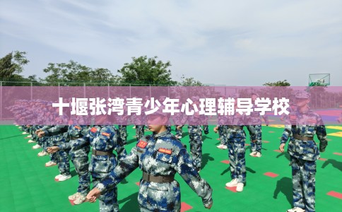 十堰张湾青少年心理辅导学校