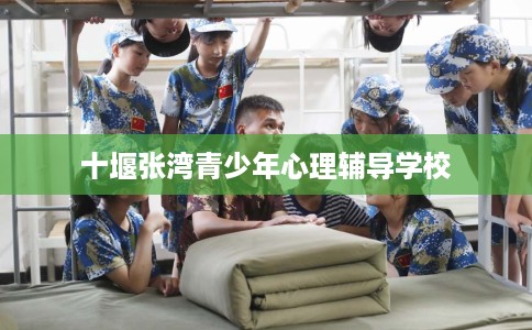 十堰张湾青少年心理辅导学校