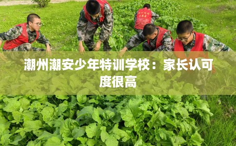 潮州潮安少年特训学校：家长认可度很高