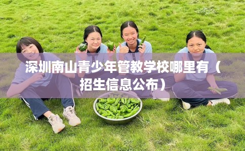 深圳南山青少年管教学校哪里有（招生信息公布）