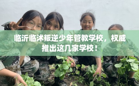 临沂临沭叛逆少年管教学校，权威推出这几家学校！