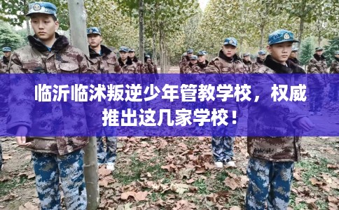 临沂临沭叛逆少年管教学校，权威推出这几家学校！