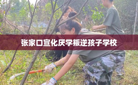 张家口宣化厌学叛逆孩子学校