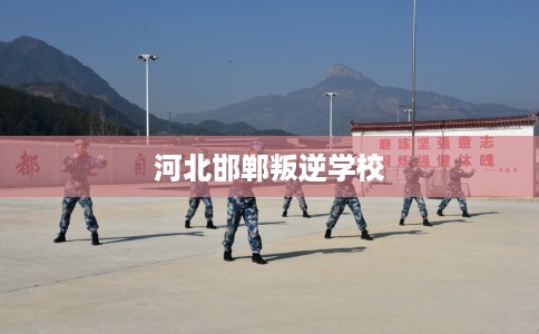 河北邯郸叛逆学校