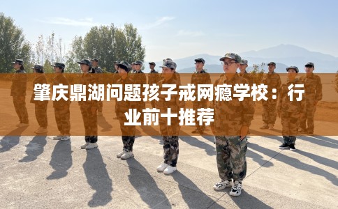 肇庆鼎湖问题孩子戒网瘾学校：行业前十推荐