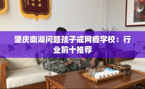 肇庆鼎湖问题孩子戒网瘾学校：行业前十推荐