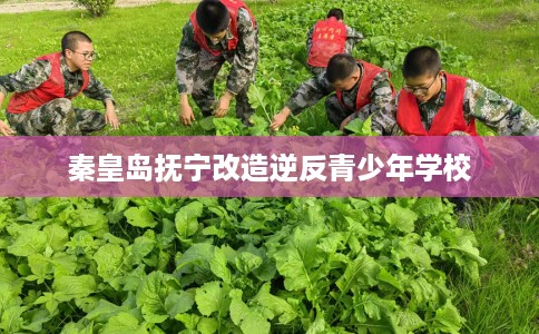 秦皇岛抚宁改造逆反青少年学校