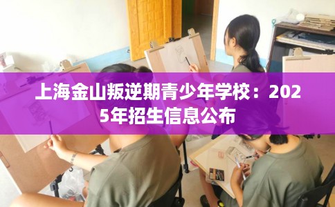 上海金山叛逆期青少年学校：2025年招生信息公布