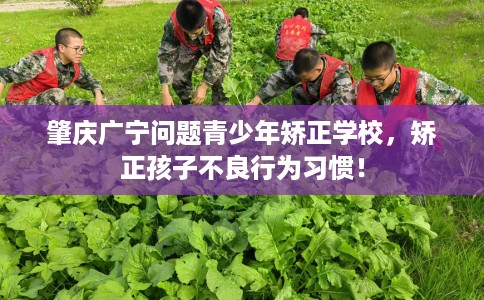 肇庆广宁问题青少年矫正学校，矫正孩子不良行为习惯！