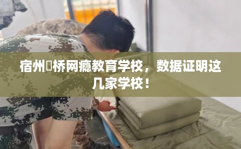 宿州埇桥网瘾教育学校，数据证明这几家学校！