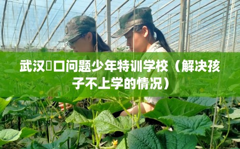 武汉硚口问题少年特训学校（解决孩子不上学的情况）