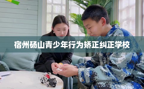 宿州砀山青少年行为矫正纠正学校