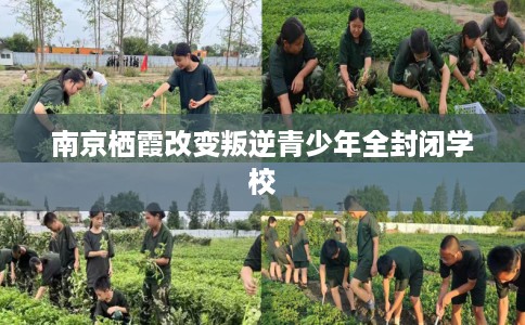 南京栖霞改变叛逆青少年全封闭学校