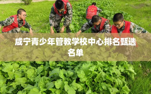 咸宁青少年管教学校中心排名甄选名单