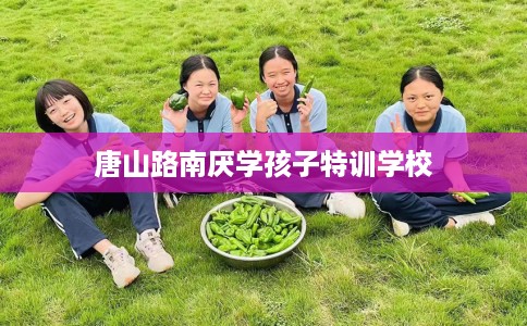 唐山路南厌学孩子特训学校
