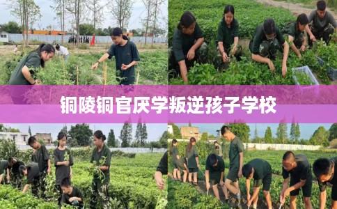 铜陵铜官厌学叛逆孩子学校