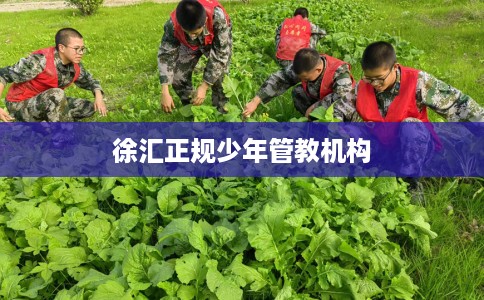 徐汇正规少年管教机构