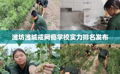 潍坊潍城戒网瘾学校实力排名发布