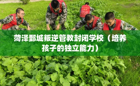 菏泽鄄城叛逆管教封闭学校（培养孩子的独立能力）