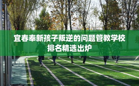 宜春奉新孩子叛逆的问题管教学校排名精选出炉