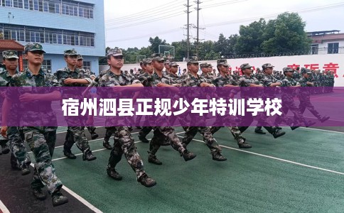宿州泗县正规少年特训学校
