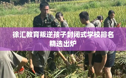 徐汇教育叛逆孩子封闭式学校排名精选出炉