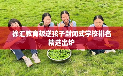 徐汇教育叛逆孩子封闭式学校排名精选出炉