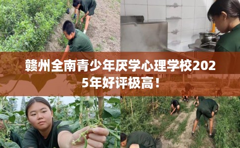 赣州全南青少年厌学心理学校2025年好评极高！