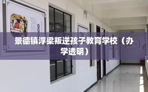 景德镇浮梁叛逆孩子教育学校（办学透明）