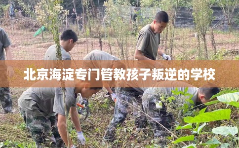 北京海淀专门管教孩子叛逆的学校