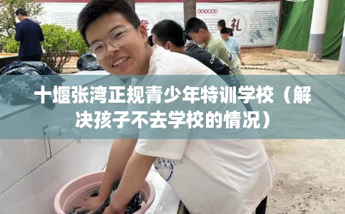 十堰张湾正规青少年特训学校（解决孩子不去学校的情况）