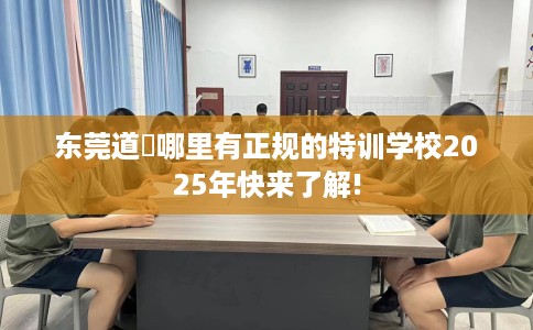 东莞道滘哪里有正规的特训学校2025年快来了解!