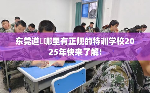 东莞道滘哪里有正规的特训学校2025年快来了解!