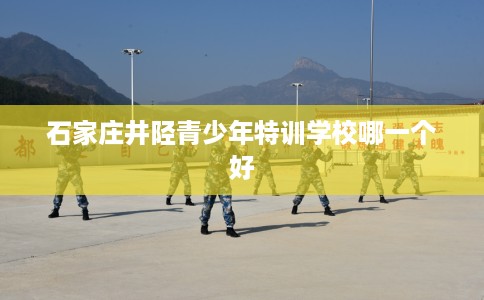 石家庄井陉青少年特训学校哪一个好
