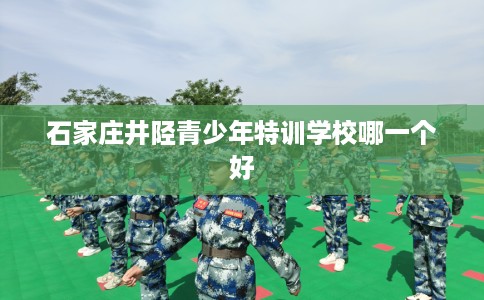 石家庄井陉青少年特训学校哪一个好