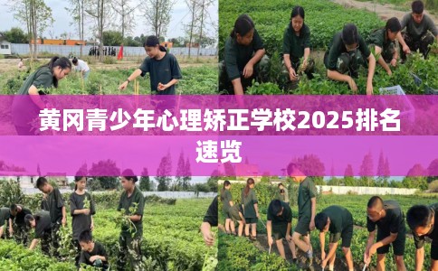 黄冈青少年心理矫正学校2025排名速览